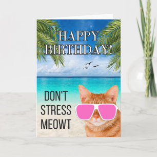 Tarjeta No enfatizar Meowt Funny Tabby Cat Feliz cumpleaño