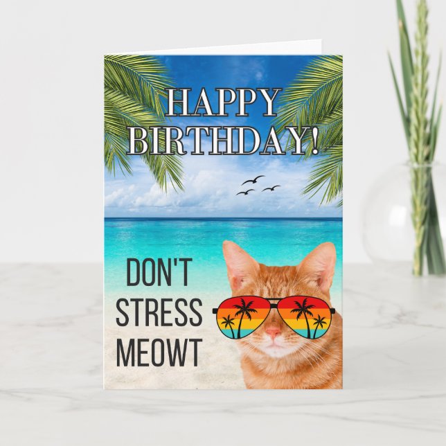 Tarjeta No enfatizar Meowt Funny Tabby Cat Feliz cumpleaño (Anverso)