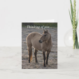 Tarjeta No estoy pensando en ti como Bonito