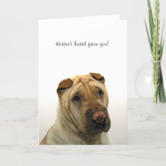 Tarjeta No han oído de usted