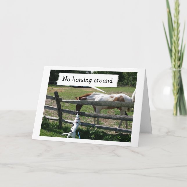 TARJETA NO HAY CABALLO ALREDEDOR - ¿ES REALMENTE TU CUMPLE (Anverso)