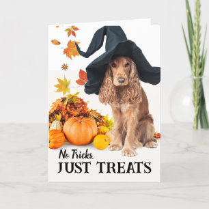Tarjeta No hay trucos que solo trate al cocinero de Hallow