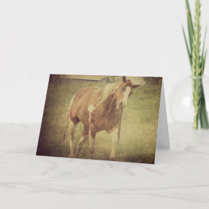 Tarjeta No me molestes, pintar caballo sacude la cabeza