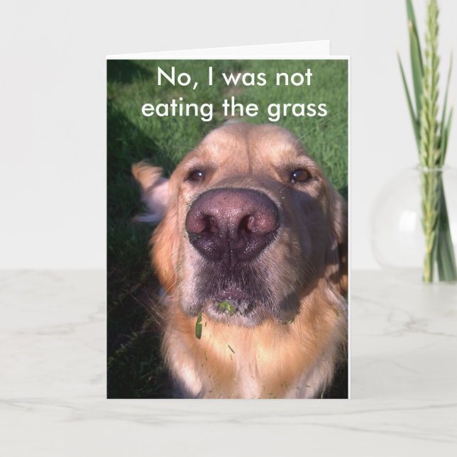 Tarjeta No, no lo era (Anverso)