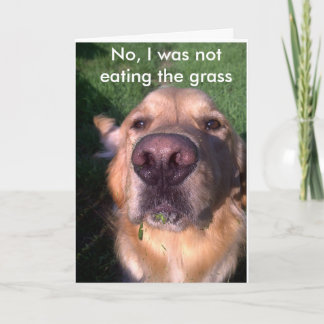 Tarjeta No, no lo era