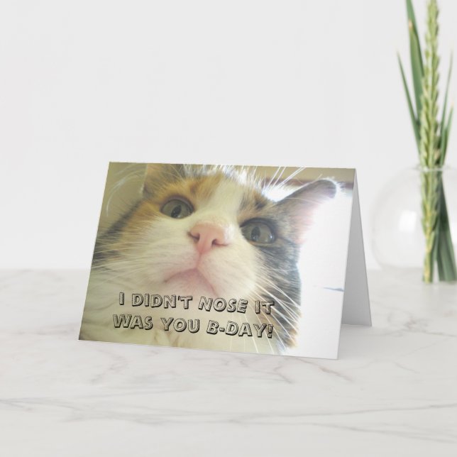 Tarjeta No NOSE fue tu gato Kitty de cumpleaños (Anverso)