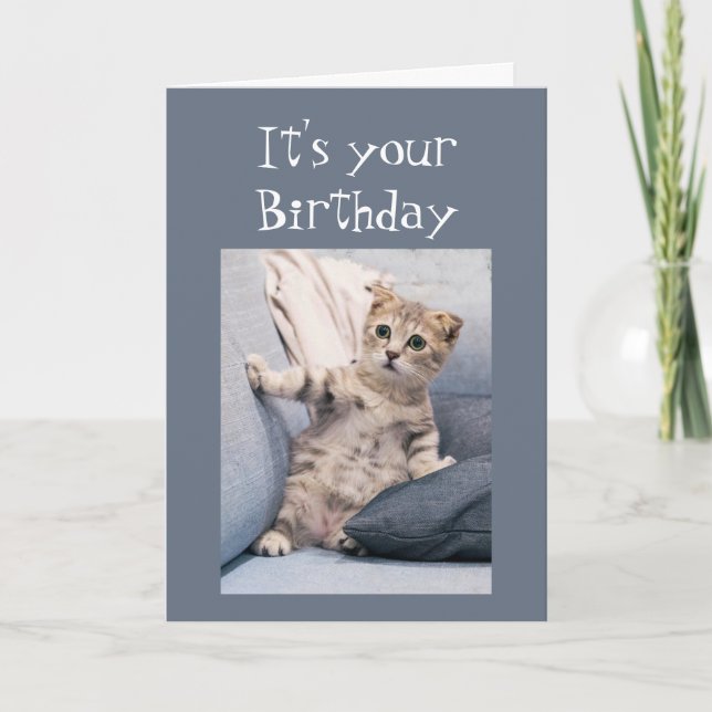 Tarjeta No olvidamos tu Gatito Divertido de Cumpleaños (Anverso)