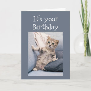 Tarjeta No olvidamos tu Gatito Divertido de Cumpleaños