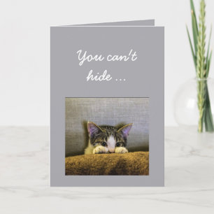 Tarjeta No puede ocultar a partir del 40.a gatito de la