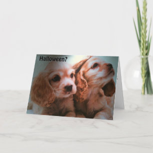 TARJETA NO SE NECESITA NINGÚN COSTUMO=HALLOWEEN