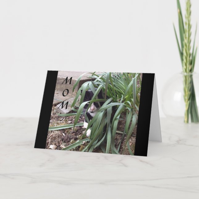 TARJETA NO SE OCULTA DE LA VERDAD "MEJOR MAMÁ" DEL MUNDO (Anverso)