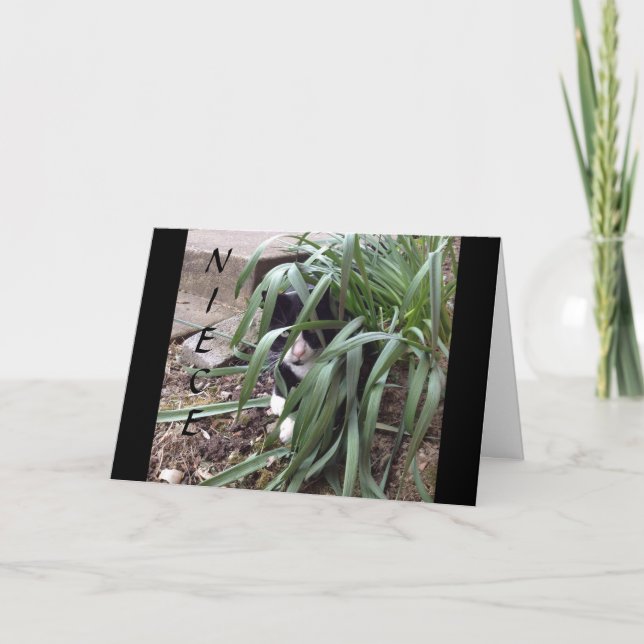 TARJETA NO SE OCULTA DE LA VERDAD "MEJOR NIETA" DEL MUNDO (Anverso)