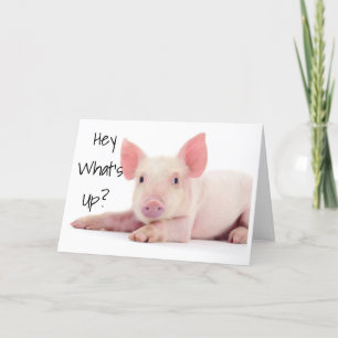 TARJETA NO SE PREOCUPEN LOS CONSEJOS DE PIG "60" NO ES TAN