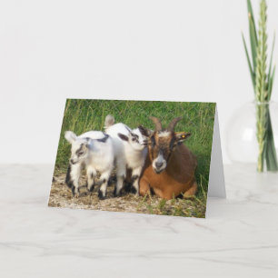TARJETA NO SE SECUESTRA EN EL CUMPLEAÑOS FELIZ