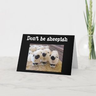TARJETA ¡¡¡NO SEAS "SHEEPISH" EN "60" DICE OVEJAS!!!