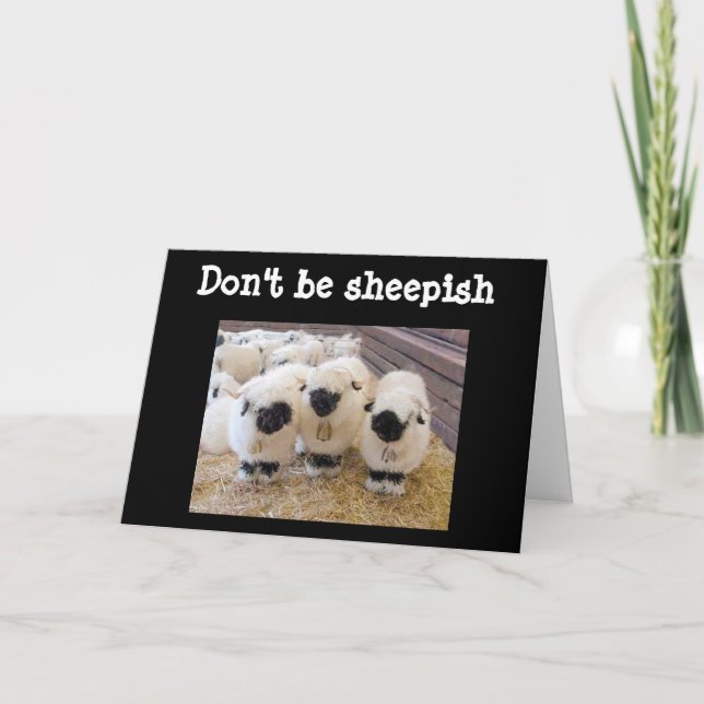 TARJETA ¡¡¡NO SEAS "SHEEPISH" EN "60" DICE OVEJAS!!! (Anverso)