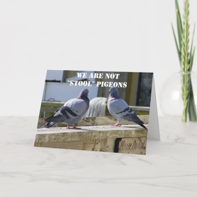 TARJETA NO SOMOS PIGEONS (Anverso)