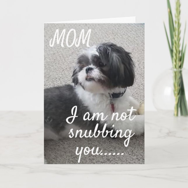 TARJETA **NO TE ANUDAN, MAMÁ, PERO TE DESEAN EL CUMPLEAÑOS (Anverso)