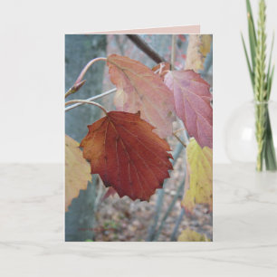 Tarjeta No todavía caído