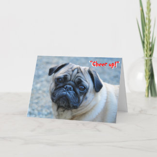 Tarjeta No Wrinkles Pug Birday Card