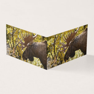 Tarjeta Noble Bull Moose