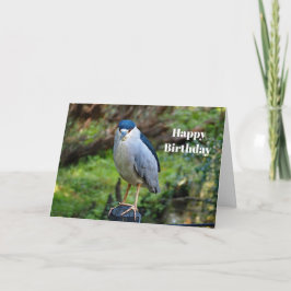 Tarjeta Noche de la vida silvestre - Foto Cumpleaños