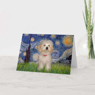 Tarjeta Noche estrellada - Cachorro de Haván