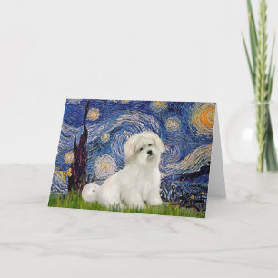 Tarjeta Noche estrellada - Coton de Tulear 7