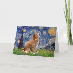 Tarjeta Noche estrellada - Nova Scotia Duck Rolling Retrie
