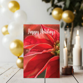 Tarjeta Nochebuena personalizable de poinsettia roja