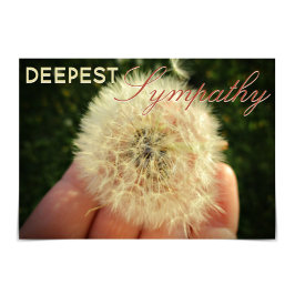 Tarjeta nocturna Dandelion "Deepest Sympathy"