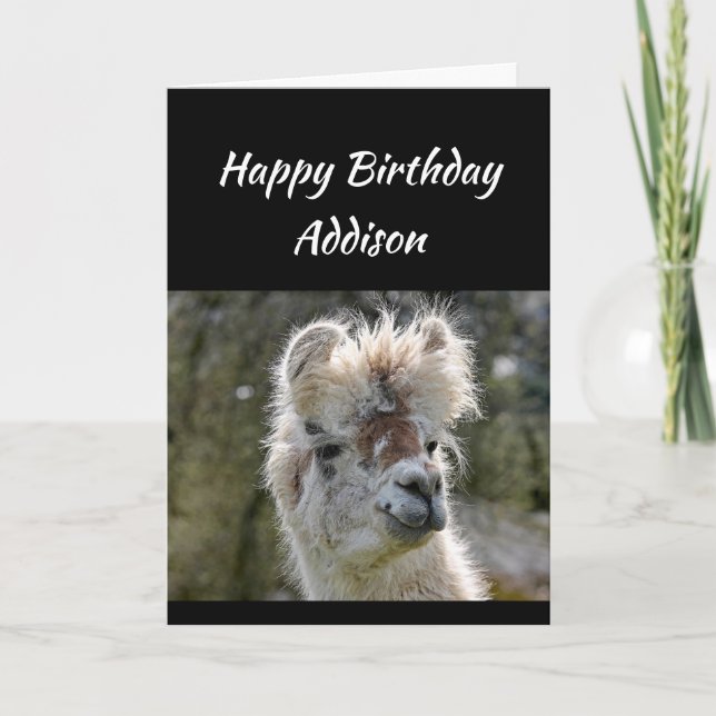 Tarjeta Nombre personalizado Divertido cumpleaños Mala Cab (Anverso)