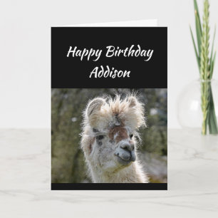 Tarjeta Nombre personalizado Divertido cumpleaños Mala Lla