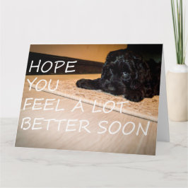 Tarjeta Noodle quiere ser mejor grande