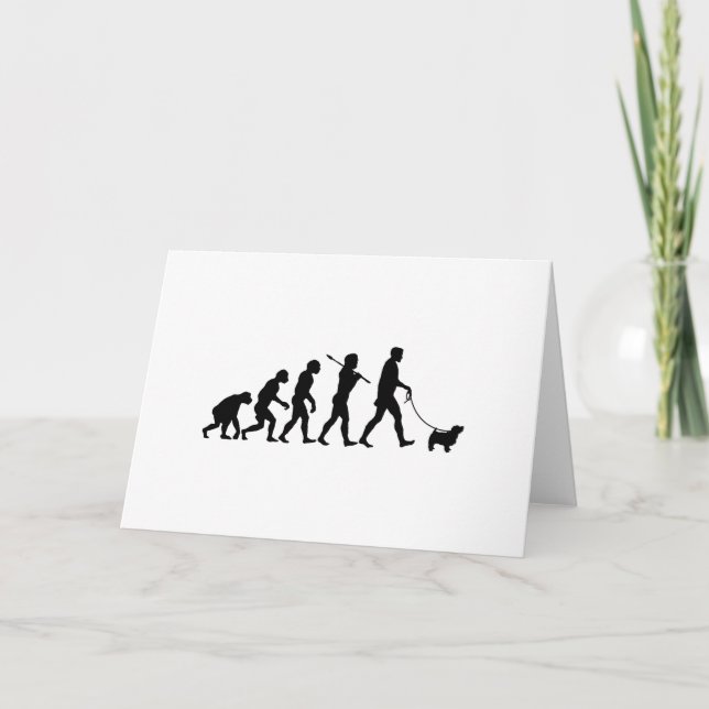 Tarjeta Norfolk Terrier (Anverso)