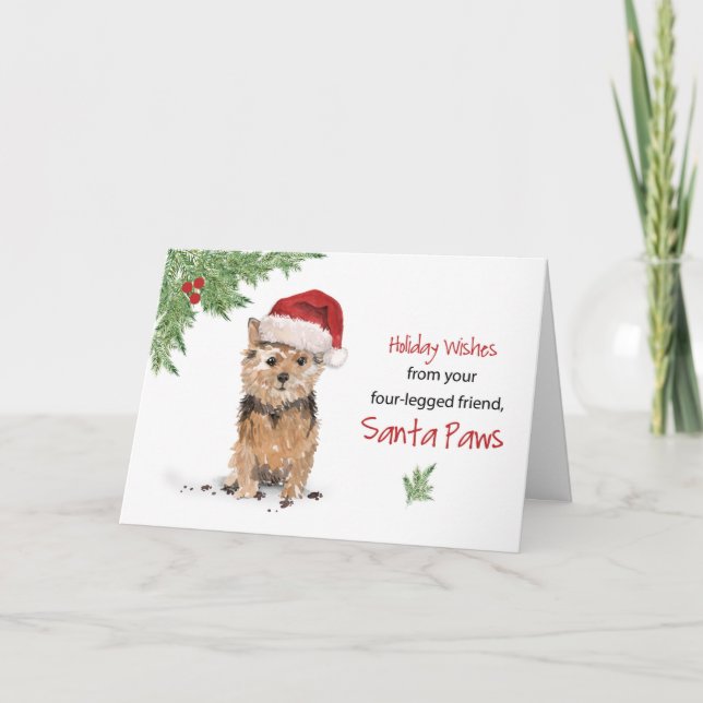 Tarjeta Norfolk Terrier Navidades de perro en el gracioso  (Anverso)