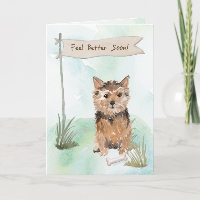 Tarjeta Norfolk Terrier se siente mejor después de la ciru (Anverso)