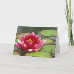 Tarjeta Norteamérica, Estados Unidos, Australia Occidental