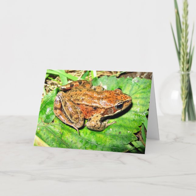 Tarjeta Northern Red legged frog (Anverso)