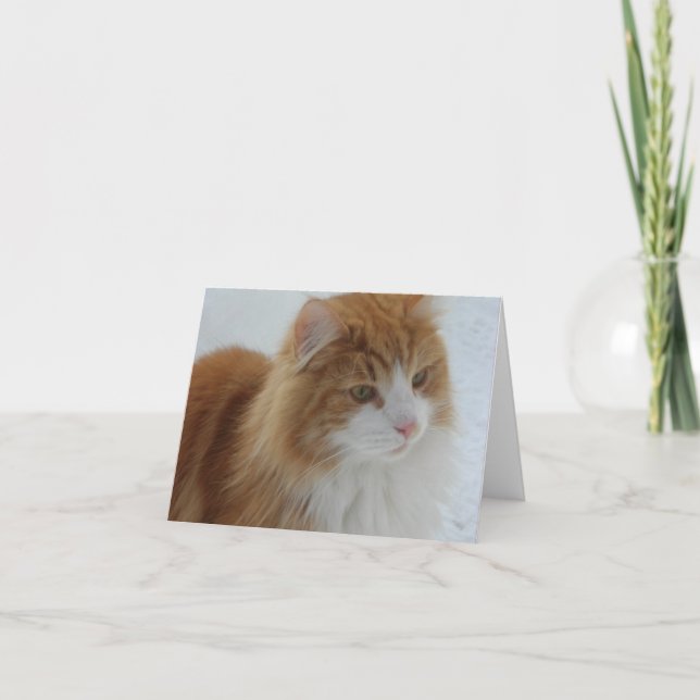 Tarjeta Norwegian_Forest_Cat (Anverso)
