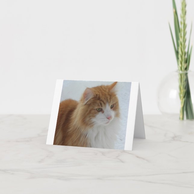 Tarjeta Norwegian_Forest_Cat (Anverso)
