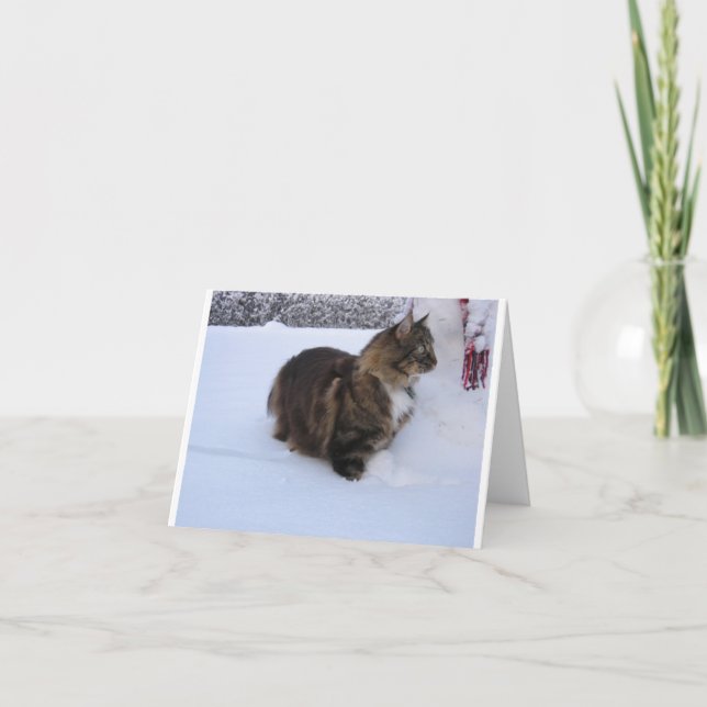 Tarjeta norwegian forest cat in snow (Anverso)