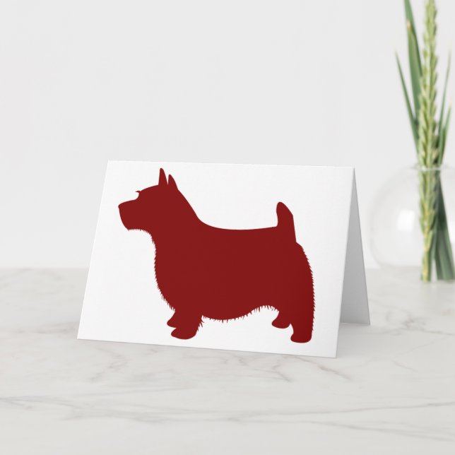 Tarjeta Norwich Terrier (Anverso)
