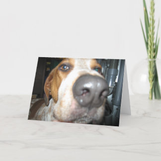 Tarjeta Nose Notecard para perros grandes