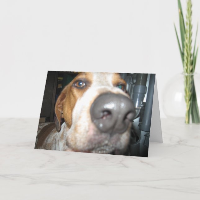 Tarjeta Nose Notecard para perros grandes (Anverso)