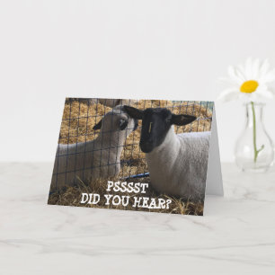 TARJETA NOSOTROS "TE SALVAMOS UN PEQUEÑO DE PASTO" CUMPLEA