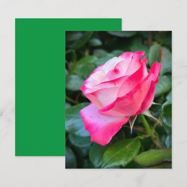 Tarjeta Nostalgia Rosa (Anverso / Reverso)