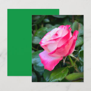 Tarjeta Nostalgia Rosa