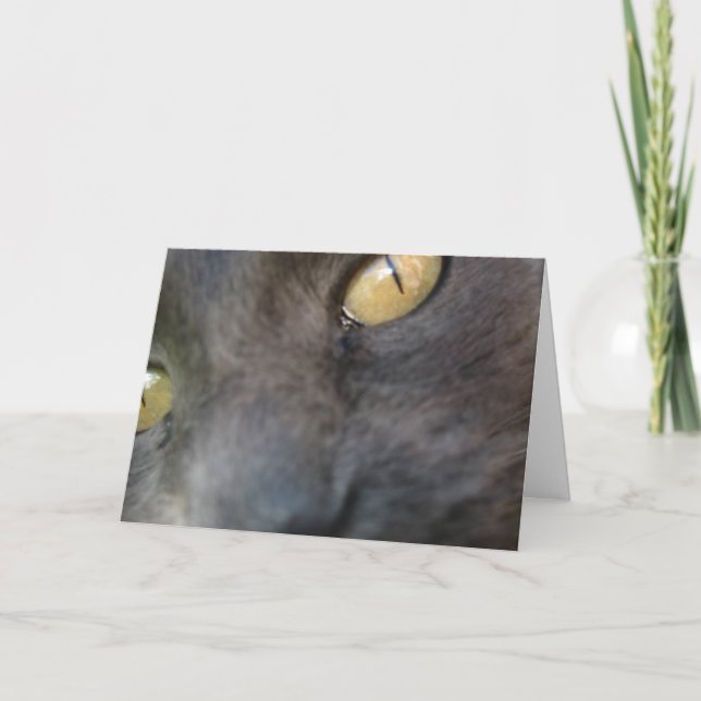 Tarjeta Nosy Cat Birthday (Anverso)