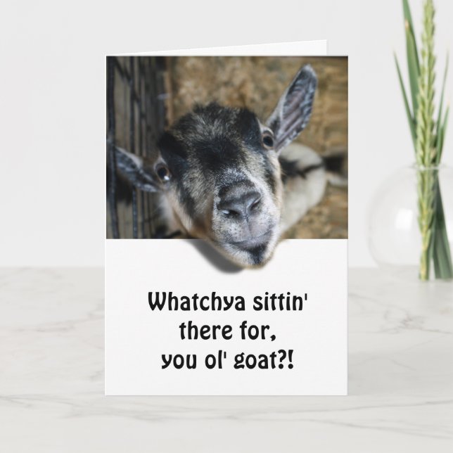 Tarjeta Nosy Goat mirando hacia arriba - Cumpleaños (Anverso)